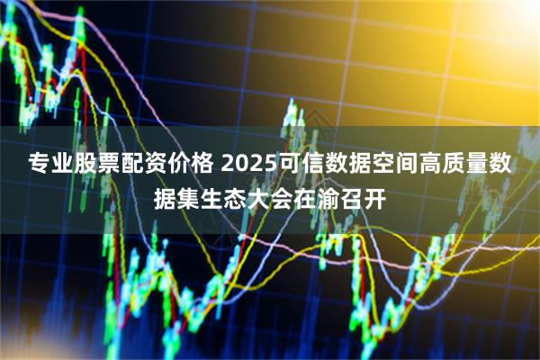 专业股票配资价格 2025可信数据空间高质量数据集生态大会在渝召开