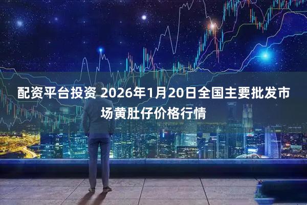 配资平台投资 2026年1月20日全国主要批发市场黄肚仔价格行情